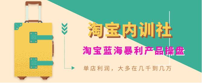 盗坤《淘宝内训社》淘宝蓝海暴利产品操盘内训视频