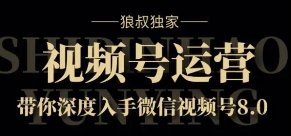 狼叔视频号8.0运营实战课