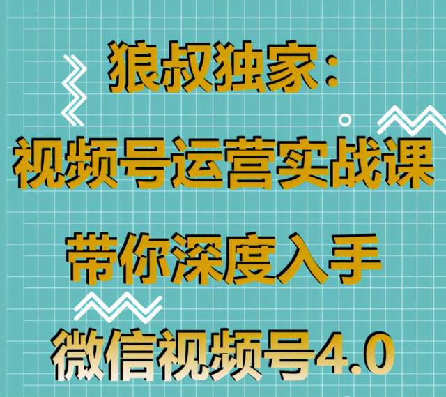 狼叔视频号运营实战4.0培训课程视频