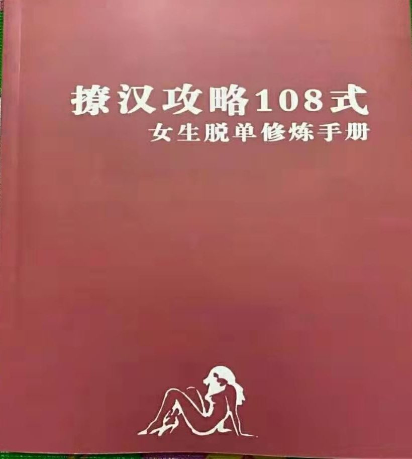 撩汉全攻略108式电子书