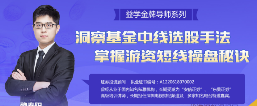 魏春阳老师 2021《机构交易密码》