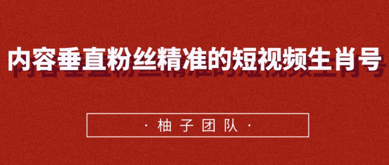 内容垂直粉丝精准的短视频生肖号，小众领域简单操作月入10000+