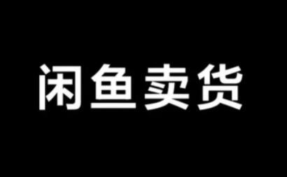 引流哥·闲鱼卖苹果手机项目视频教程