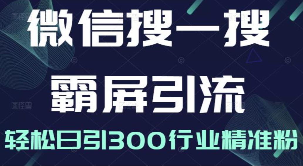 微信搜一搜霸屏引流课，轻松日引300行业精准粉