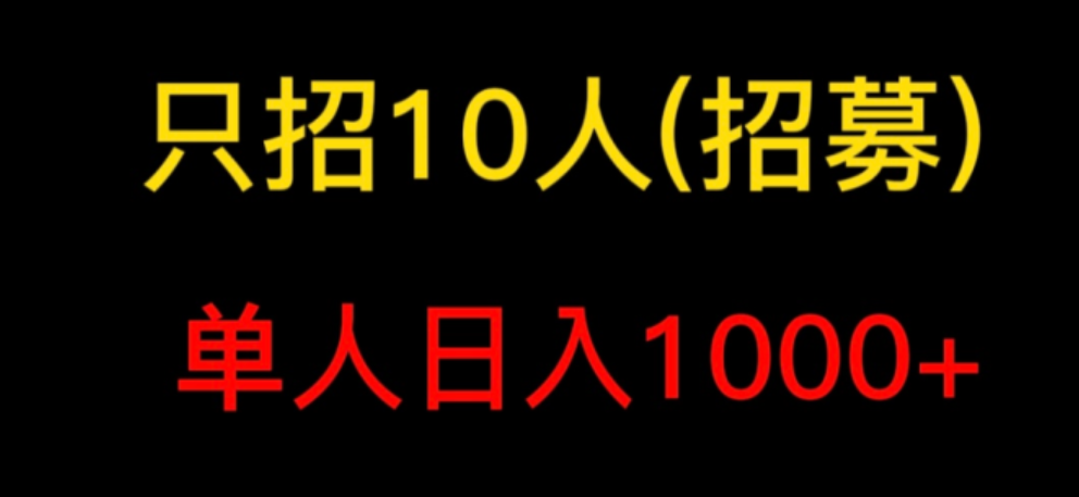 懒人领域《头条项目玩法教学》