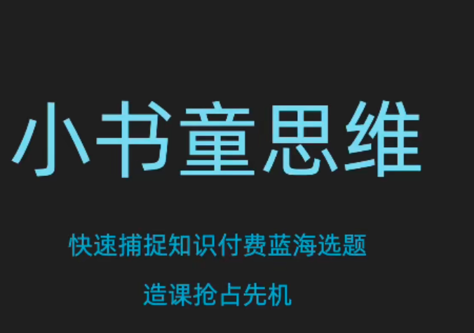 林雨小书童思维课，快速捕捉知识付费蓝海选题