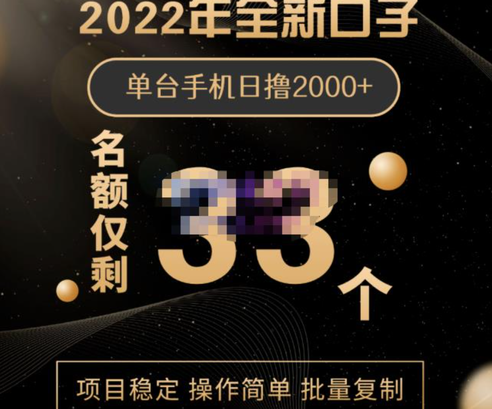 2022年全新口子，手机批量搬砖玩法，一部手机日撸2000+