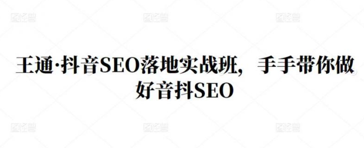 王通·抖音SEO落地实战班，手手带你做好音抖SEO